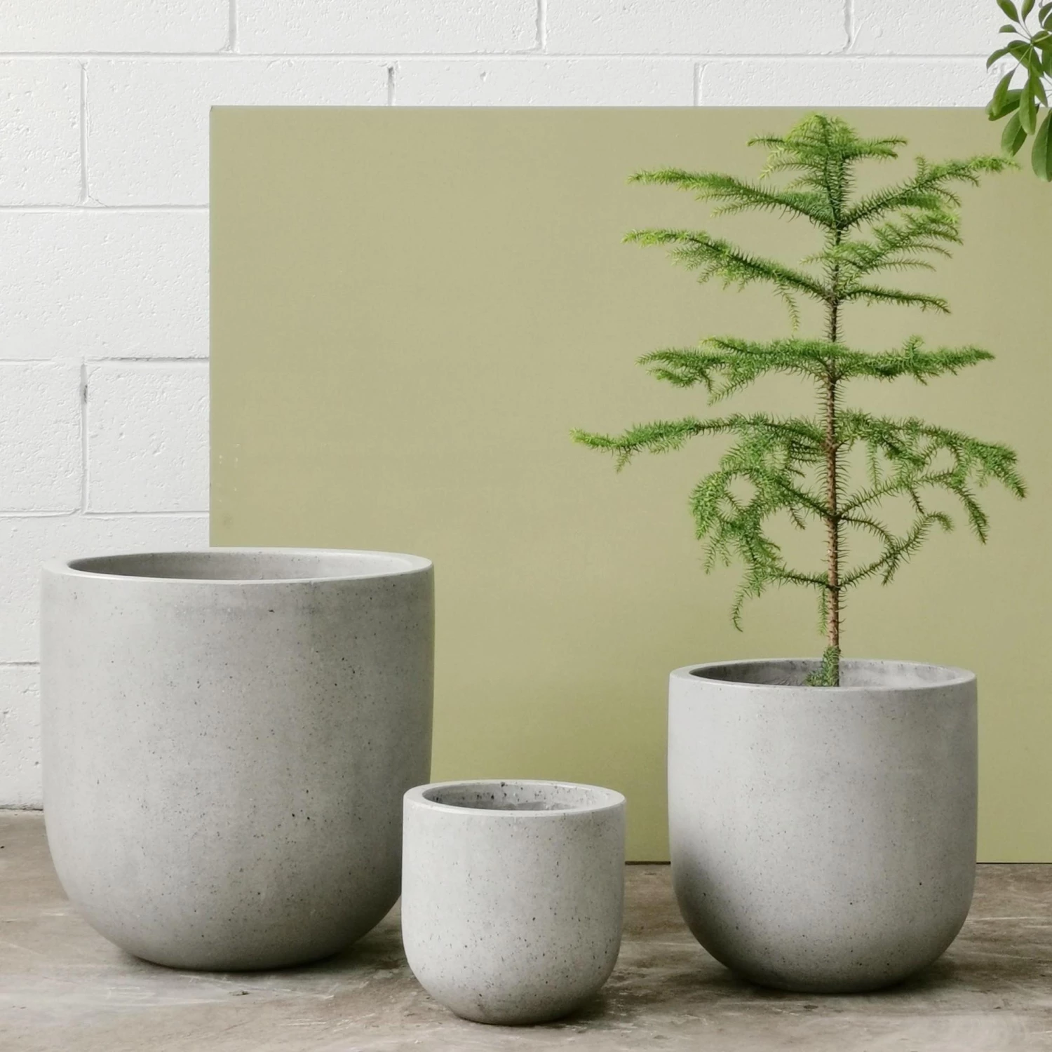 THE PLANT SOCIETY Patio Planter Large Planters 4 THE PLANT SOCIETY Patio Planter Large Planters