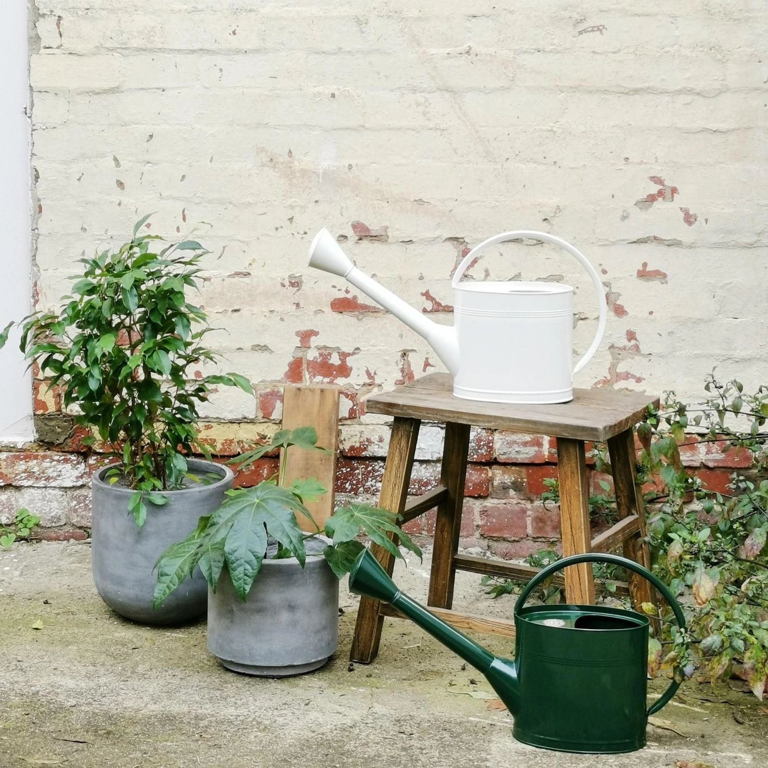 THE PLANT SOCIETY Waterfall Watering Can 5L By Burgon And Ball 3 THE PLANT SOCIETY Waterfall Watering Can 5L By Burgon And Ball