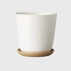 THE PLANT SOCIETY All Planters Bonnie Planter In White By Evergreen Collective