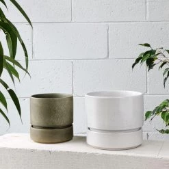 Designed By The Plant Society Cora Planter By The Plant Society In Moss