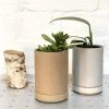 THE PLANT SOCIETY Hasami Porcelain Planter - Small Small Planters 2 THE PLANT SOCIETY Hasami Porcelain Planter - Small Small Planters