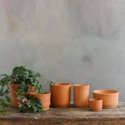 THE PLANT SOCIETY All Planters Terracotta Planter By Leaf & Thread