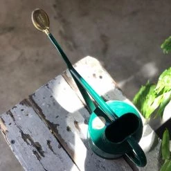 THE PLANT SOCIETY Metal Watering Can By Haws