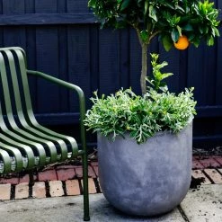 THE PLANT SOCIETY ONLINE OUTPOST U-Planter