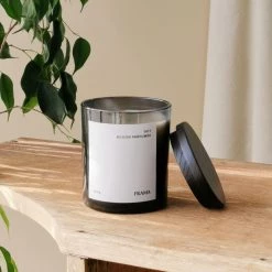 THE PLANT SOCIETY 1917 | Scented Candle | 170g By FRAMA All Homewares