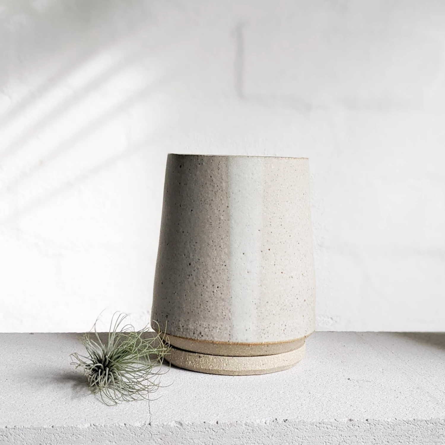 THE PLANT SOCIETY Tall White Planter By Penelope Duke 6 THE PLANT SOCIETY Tall White Planter By Penelope Duke