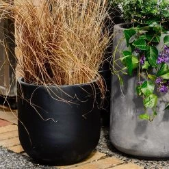 THE PLANT SOCIETY ONLINE OUTPOST U-Planter