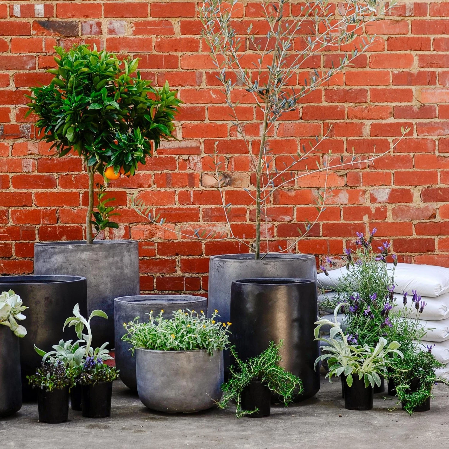 Large Planters Urban & Contemporary Collections By The Plant Society 17 Large Planters Urban & Contemporary Collections By The Plant Society