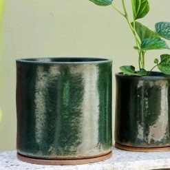 THE PLANT SOCIETY Moody Green Bench Planter By Jenn Johnston All Planters