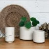 THE PLANT SOCIETY All Planters Ecru Drift Planter By Arcadia Scott
