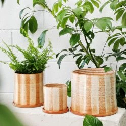 THE PLANT SOCIETY Fat Stripe Rust Planter By Arcadia Scott All Planters