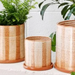 THE PLANT SOCIETY Fat Stripe Rust Planter By Arcadia Scott All Planters 11 THE PLANT SOCIETY Fat Stripe Rust Planter By Arcadia Scott All Planters