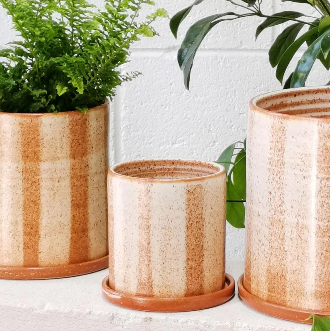 THE PLANT SOCIETY Fat Stripe Rust Planter By Arcadia Scott All Planters 5 THE PLANT SOCIETY Fat Stripe Rust Planter By Arcadia Scott All Planters