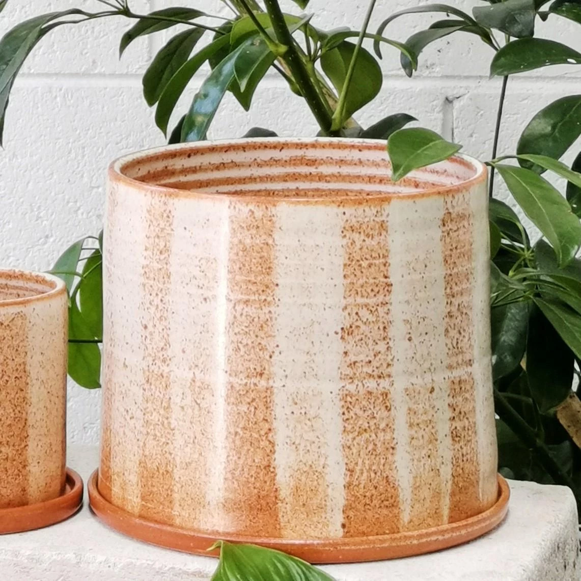 THE PLANT SOCIETY Fat Stripe Rust Planter By Arcadia Scott All Planters 7 THE PLANT SOCIETY Fat Stripe Rust Planter By Arcadia Scott All Planters