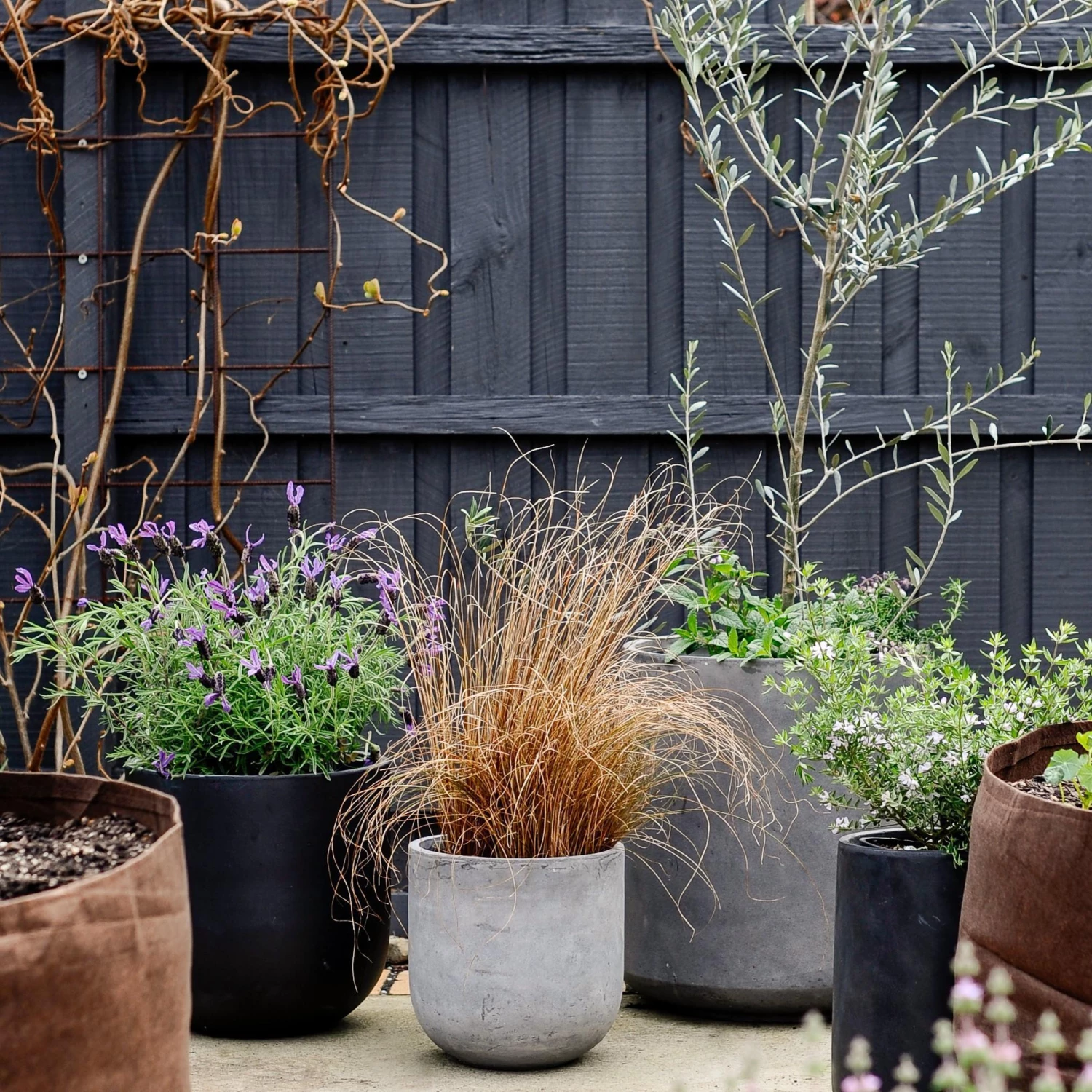 Large Planters Urban & Contemporary Collections By The Plant Society 5 Large Planters Urban & Contemporary Collections By The Plant Society