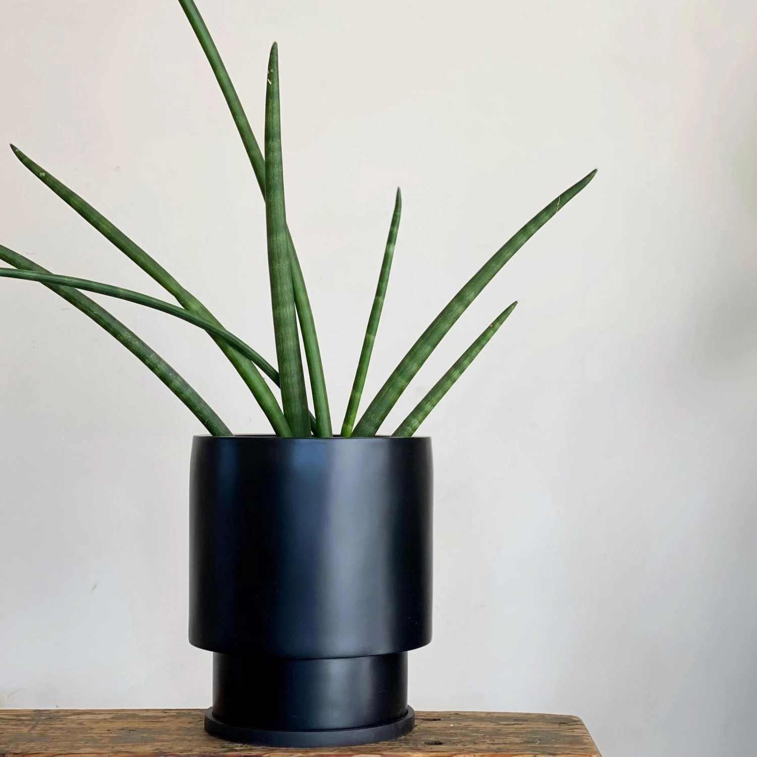 Totem Collection By The Plant Society Midi Low Tower Planter By The Plant Society X Capra Designs- Totem Collection - 4 Totem Collection By The Plant Society Midi Low Tower Planter By The Plant Society X Capra Designs- Totem Collection -