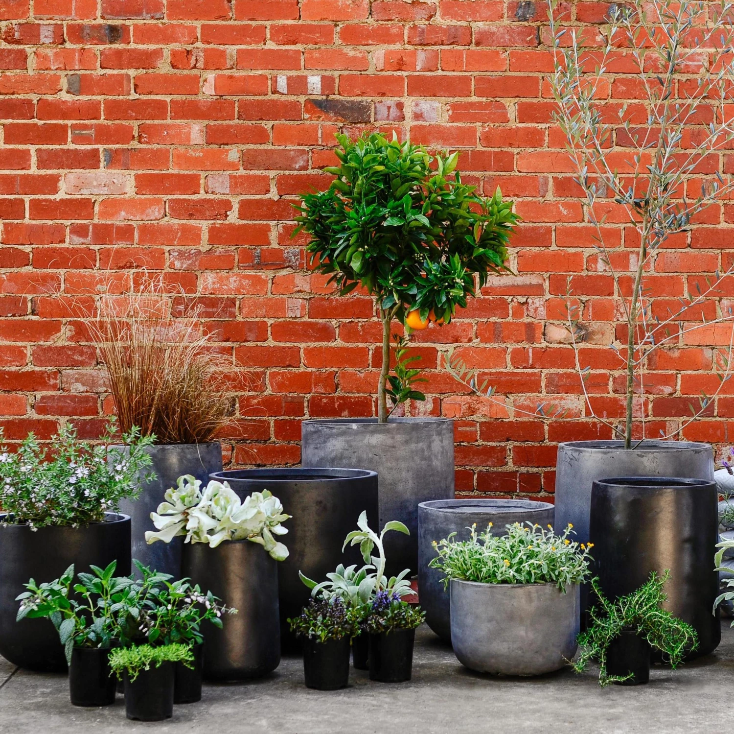 Large Planters Urban & Contemporary Collections By The Plant Society 15 Large Planters Urban & Contemporary Collections By The Plant Society