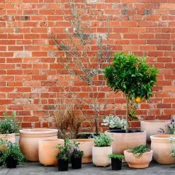 Terracotta Collection By The Plant Society Terracotta Planters