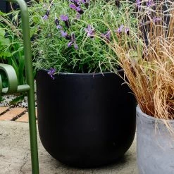 THE PLANT SOCIETY ONLINE OUTPOST U-Planter