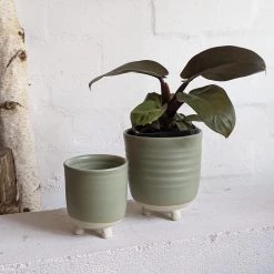 THE PLANT SOCIETY All Planters Straight Feet Planter By Katherine Mahoney