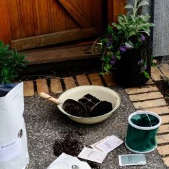 THE PLANT SOCIETY Mini Bucket Bag