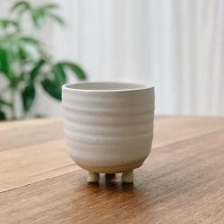 THE PLANT SOCIETY All Planters Straight Feet Planter By Katherine Mahoney