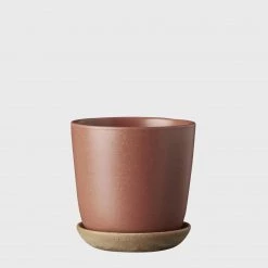 THE PLANT SOCIETY Bonnie Planter In Brick By Evergreen Collective
