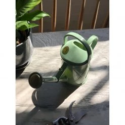 THE PLANT SOCIETY Plastic Watering Can 1000mL By Haws Plant Care