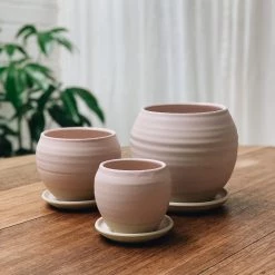 THE PLANT SOCIETY Round Planter By Katherine Mahoney