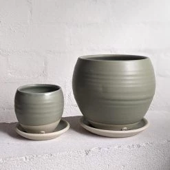 THE PLANT SOCIETY Round Planter By Katherine Mahoney