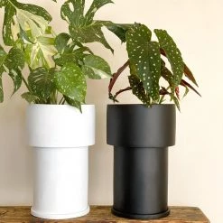 Totem Collection By The Plant Society Midi Tall Tower Planter By The Plant Society X Capra Designs- Totem Collection -