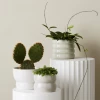 THE PLANT SOCIETY Large Planters Large Luna Planter By Evergreen Collective