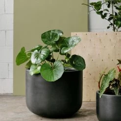 THE PLANT SOCIETY ONLINE OUTPOST Gardeners Planter - Charcoal Large Planters