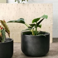 THE PLANT SOCIETY ONLINE OUTPOST Gardeners Planter - Charcoal Large Planters