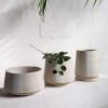 THE PLANT SOCIETY Tall White Planter By Penelope Duke