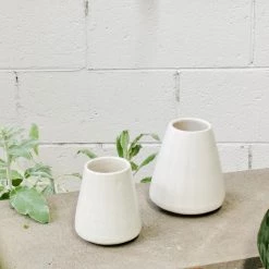 THE PLANT SOCIETY Milky Striped Vase By Lisa Peri