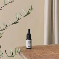 THE PLANT SOCIETY From Soil To Form | Beratan By FRAMA All Homewares