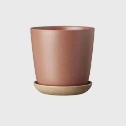 THE PLANT SOCIETY Bonnie Planter In Brick By Evergreen Collective