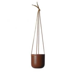 THE PLANT SOCIETY Hanging Planter By Lightly