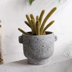 THE PLANT SOCIETY All Planters Tantalum Planter By Buzzby & Fang