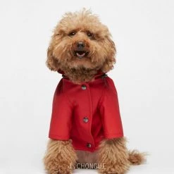 THE PLANT SOCIETY Sarah Dog Raincoat In Plain Adrenalin Red By The Painter's Wife