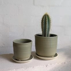 THE PLANT SOCIETY Straight Planter By Katherine Mahoney All Planters