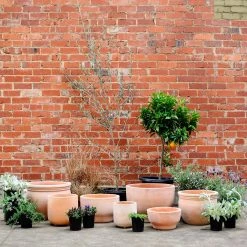 Terracotta Collection By The Plant Society Terracotta Planters