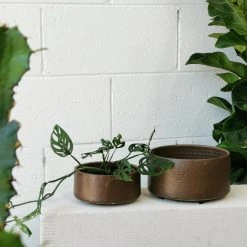 THE PLANT SOCIETY Umber Drift Planter By Arcadia Scott All Planters