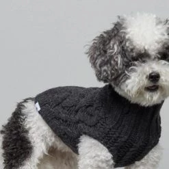 THE PLANT SOCIETY John B Dog Coat In Anthracite By The Painter's Wife