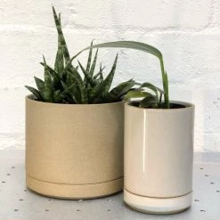 THE PLANT SOCIETY Hasami Porcelain Planter - Small Small Planters