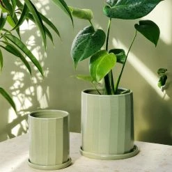 THE PLANT SOCIETY All Planters Sage Faceted Planter By Arcadia Scott