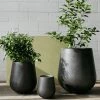 THE PLANT SOCIETY ONLINE OUTPOST Large Planters Tear Drop Planter 1 THE PLANT SOCIETY ONLINE OUTPOST Large Planters Tear Drop Planter