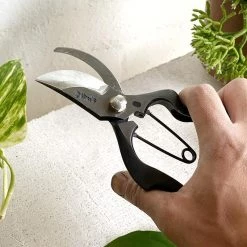 Plant Care The Plant Society X Toyama Hamono Secateurs