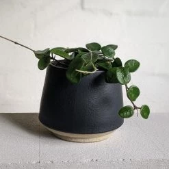 THE PLANT SOCIETY All Planters Mid Black Planter By Penelope Duke